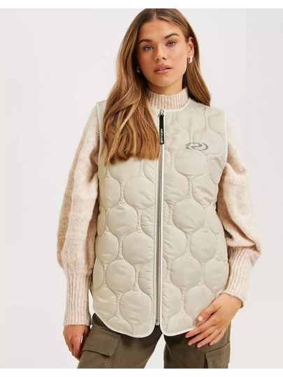 Résumé PintiRS Vest Nature