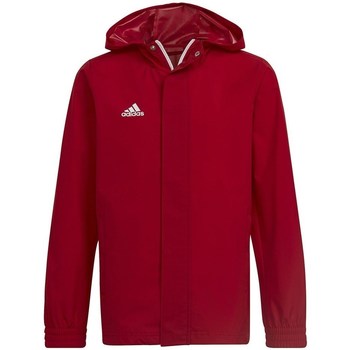 Takit adidas Entrada 22 EU S