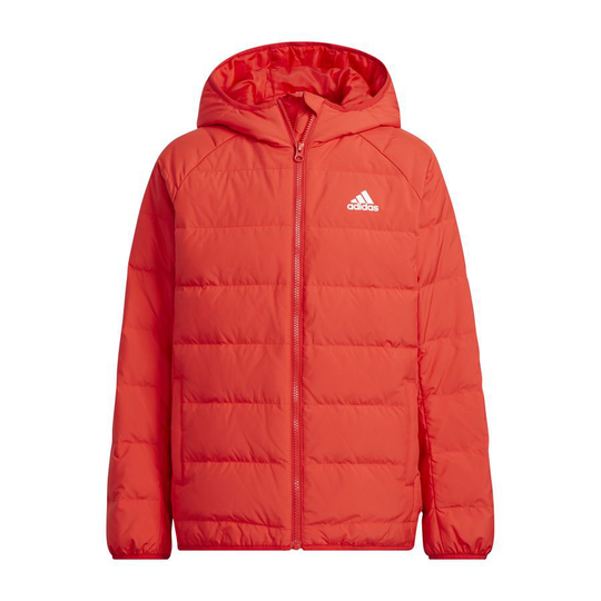 adidas Talvitakki Down Frosty - Punainen Lapset