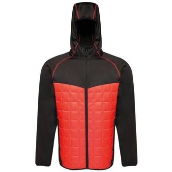 Takit Regatta Modular Thermal EU L