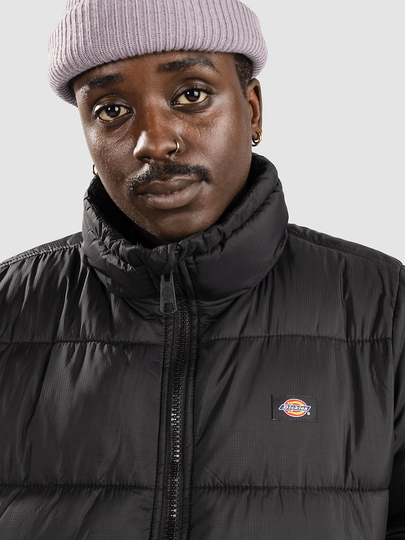 Dickies Waldenburg Jacket musta