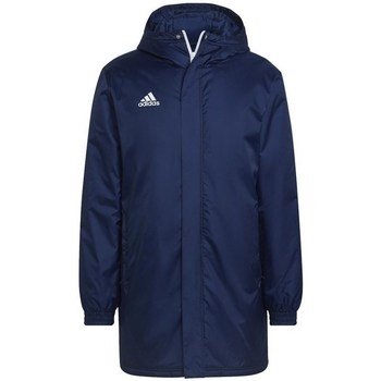 Takit adidas Entrada 22 Stadium EU XXL