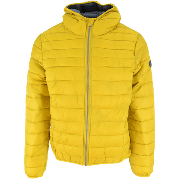 Takit Lotto Bomber Cortina Hd Lg Pad Pl EU M